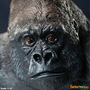 【全商品・全在庫】【正規品】safari (サファリ)ゴリラ オス シルバーバッグWW 111589