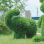 人工観葉植物 植物 インテリアグリーン フェイクグリーン フェイク グリーン オブジェ 動物型 観葉植物 ぞう 象 ゾウ ガーデン 庭 動物 アニマル 屋外 トピアリー アートグリーン プレゼント ギフト 新築祝い 引越し祝い 引っ越し祝い ゾウS 高さ50cm(Sサイズ)