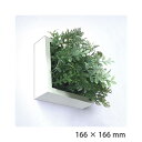 観葉植物 壁掛け フェイクグリーン 北欧 グリーン