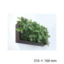 フェイクグリーン 壁掛け 観葉植物 インテリア グ