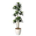 フェイクグリーン 人工植物 イミテーショングリーン 人工観葉植物 玄関 観葉植物 観葉植物 インテリアグリーン インテリア ドラセナコンパクタ 高さ160cm 造花 人工植物 廊下 庭 人工植物 アートグリーン フェイクグリーン 造花 新築祝い 引越し祝い 送料無料