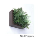フェイクグリーン 人工観葉植物 壁掛け インテリア