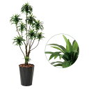 観葉植物 大型 光触媒 母の日 インテリア 大きい 人工植物 フェイクグリーン 人工樹木 アートグリーン 幸福の木 造花 抗菌 防汚 消臭 ホルムアルデヒド 除去 分解 空気清浄 植物 ドラセナコンパクタ 高さ160cm 人工観葉植物 光の楽園 日本製 お手入れ不要 おしゃれ 送料無料