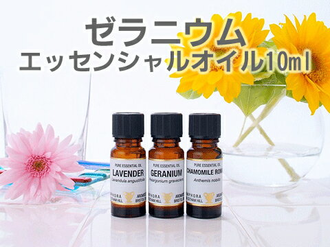 ゼラニウム　10ml　アロマオイル（精油・エッセンシャルオイル）【アロマオイル/エッセンシャルオイル/精油/アロマテラピー/セット/お試し/格安/激安/ランキング/通販/天然/ナチュラル/リラックス/リフレッシュ/ボディケア/ゼラニウム】