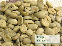 トラジャ・カロシ 選べる焙煎豆 200g 【ストレートコーヒー】　「幻のコーヒー」の名にふさわしい、独特の香り・濃厚なコクと口当たりの柔らかさ。
