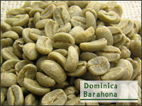 ドミニカ・バラオナ 選べる焙煎豆 200g 【ストレートコーヒー】　コクのあるフルーティーな味わいと適度な酸味。
