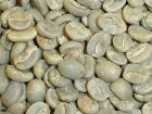 パプアニューギニア 選べる焙煎豆 200g 【ストレートコーヒー】　AAクラスの豆を厳選！フルーツ系のアロマと果実のような甘さ。