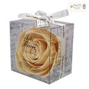 new Sola Flower ソラフラワー ナチ