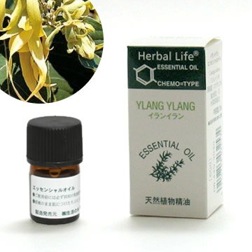 生活の木 アロマオイル イランイラン 精油 3ml[生活の木]...:aromaoil:10000194