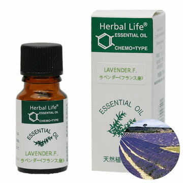 生活の木 エッセンシャルオイル ラベンダー（フランス産）10ml（Tree of Life）