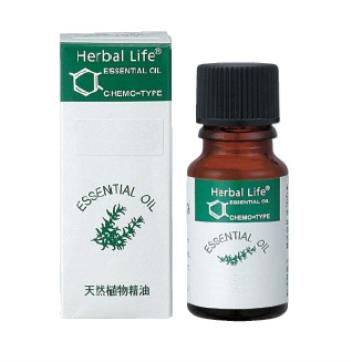 生活の木 アロマオイル キャロットシード 精油 10ml [生活の木]...:aromaoil:10002308