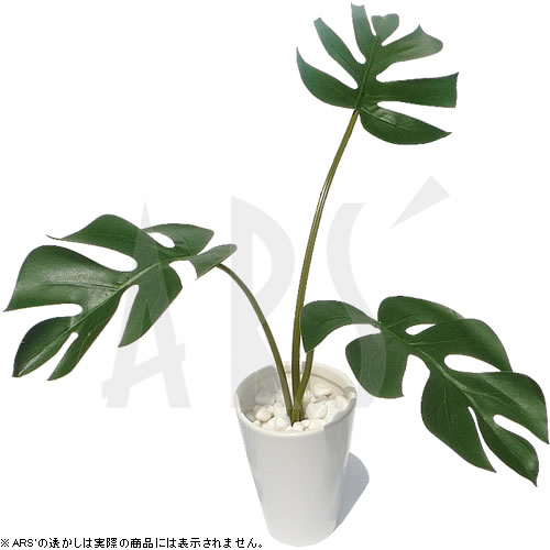 ޥ桪50%OFF10,500߰ʾ̵ݥ桪ۥȥ꡼Ƕ֤ôץ饹ƥꥢ꡼󡿥󥹥ƥ 󥽥ˡYDKG-kۡkb(ե꡼󡿿͹տʪƥꥢץ)