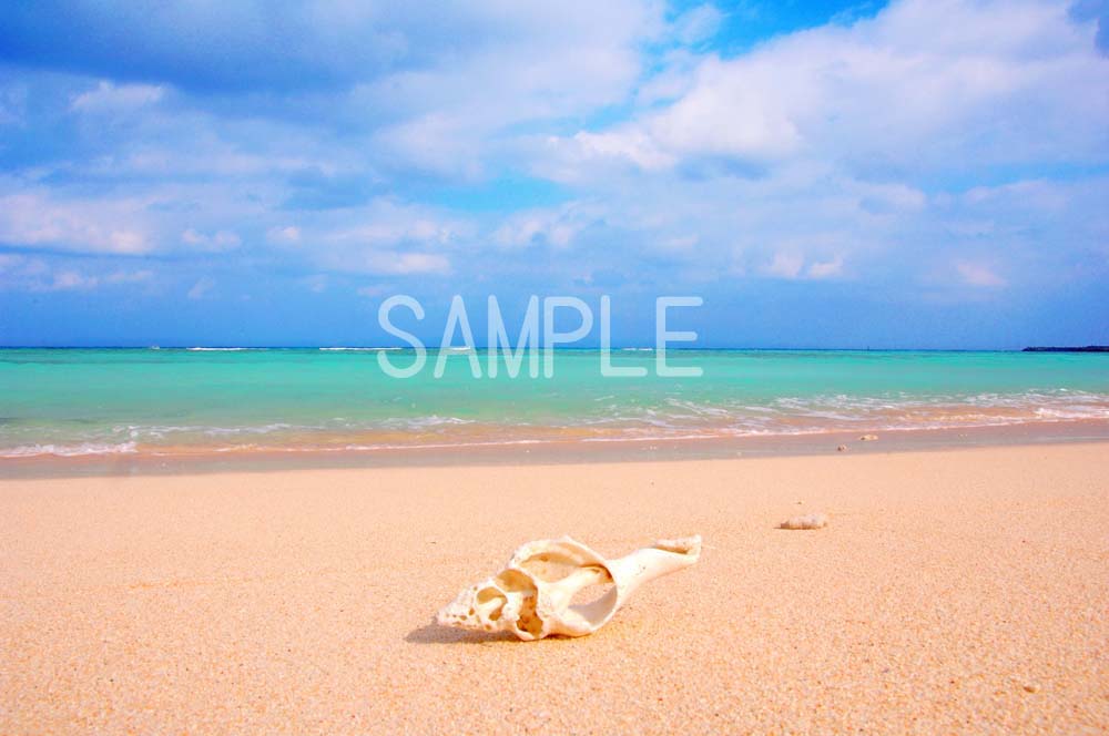 沖縄　波照間島の海と貝殻　2LW写真　 2LW-14...:art298:10001824
