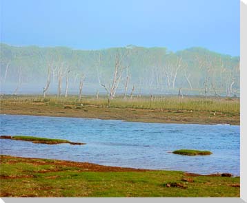 北海道野付半島2　風景写真パネル