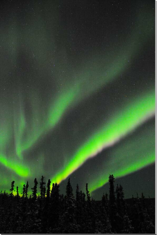 オーロラ／アラスカ　風景写真パネル 72.7×50cm　AUR-28-M20