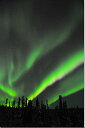 オーロラ／アラスカ　風景写真パネル 72.7×50cm　AUR-28-M20