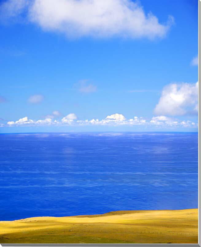 世界遺産イースター島　草原と大きく渦巻く海　風景写真パネル　インテリア　アート　壁掛け　91×72.7cm　MOAI-05-F30