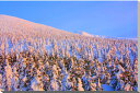 冬の蔵王　樹氷　風景写真パネル 80.3×53cm M25  