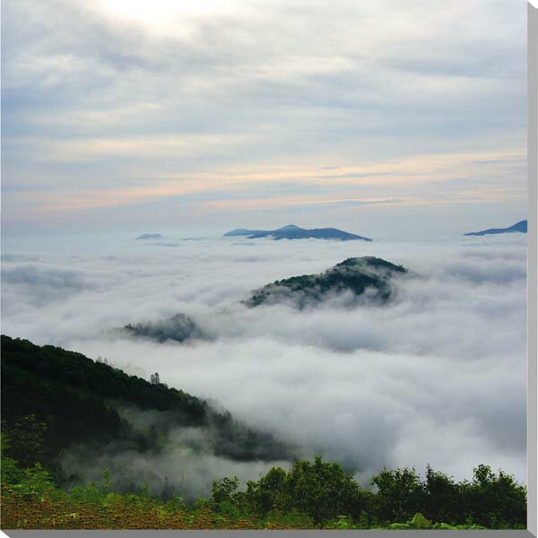 北海道　トマム　雲海　風景写真パネル　80.3×80.3cm　HOK-76-S25  