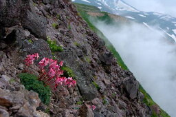 ポストカード5枚で【送料無料】北海道　層雲峡／大雪山　PST-142ポストカード 風景写真 絵ハガキ 夏 暑中見舞い ハガキ 年賀状 礼状 引っ越し挨拶