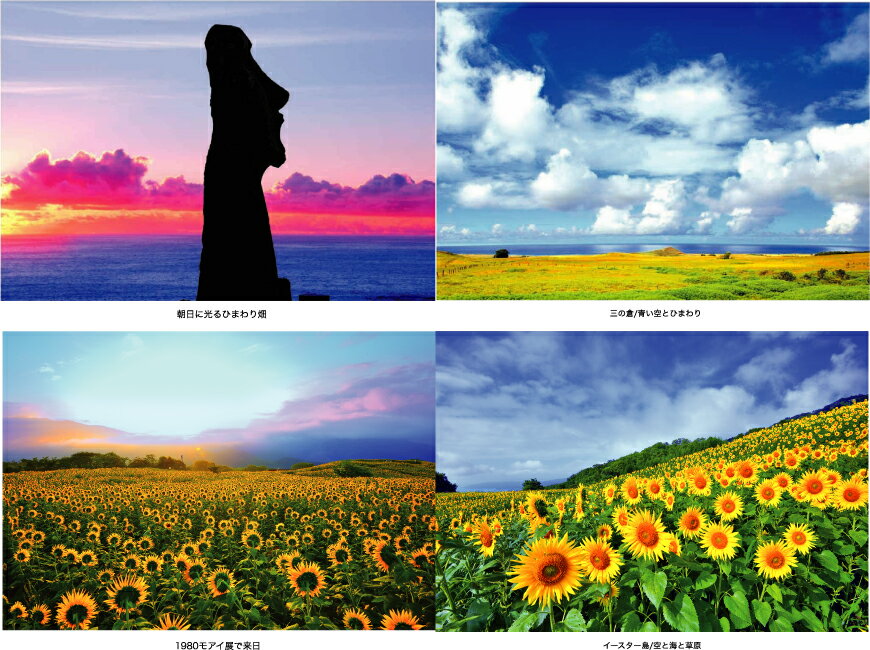 ポストカード4枚セット イースター島の風景/モアイ像/福島のひまわり 風景写真 pst-s…...:art298:10004451