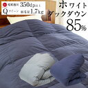 昭和西川 羽毛ふとん クイーン ホワイトダウン85% (330dp以上) 羽毛量1.8kg 昭和西川が選んだ高品質羽毛使用 SEK 立体キルト 羽毛パワーアップ加工