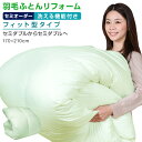 【日本全国対応】羽毛布団リフォーム《洗える機能:フィット型》セミダブルを→セミダブルへ