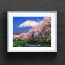 富士山-桜- アートフレーム:色シルバー サイズM 511×418mm 【油絵 直筆仕上げ絵画】【布キャンバス・額表面保護板】 油彩 風景画...