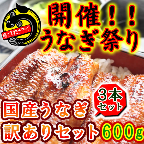 【訳あり/約600g】稚魚から養殖　安心の国内産うなぎ　訳あり3本セット【鰻 うなぎ ウナギ 蒲焼き ...