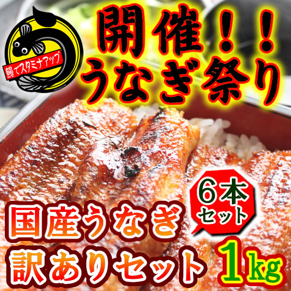 【訳あり/約1kg】稚魚から養殖　安心の愛知県産うなぎ　訳あり6本セット【鰻 うなぎ ウナギ 蒲焼き ひつまぶし 土用の丑の日 国内産 三河一色産 豊橋うなぎ 名古屋めし お中元 お歳暮 贈答 楽天市場 通販】【おまけキャンペーン実施中！】★135g〜211gのうなぎが6本セットで約1kg【ボリューム満点　香ばしくてふっくらやわらか!】