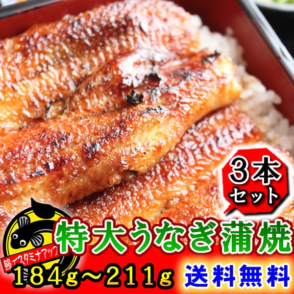 【愛知県産】　送料無料　国産特大うなぎ蒲焼　約200g×3本　【鰻 うなぎ ウナギ 蒲焼き 白焼き ひつまぶし 土用の丑の日　国産　国内産　愛知県産　三河一色産　豊橋うなぎ　名古屋めし　お中元　お歳暮　ギフト　楽天市場】