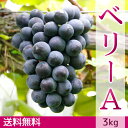 ベリーA ぶどう(3kg)【送料無料】