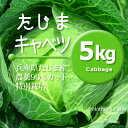 キャベツ 農薬90%カット 特別栽培【5kg】