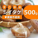 シイタケ しいたけ 椎茸 菌床栽培【500g】