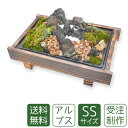 母の日 苔盆栽 ミニ庭園 アルプスSS 送料無料