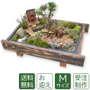 【残暑御見舞】盆栽 盆景 ミニ庭園 お迎えM 【送料無料】