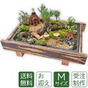 盆栽 盆景 ミニ庭園 お迎えM 【送料無料】