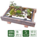 母の日 盆栽 盆景 ミニ庭園 魚釣りS 送料無料