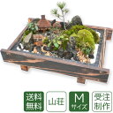 【残暑御見舞】盆栽 盆景 ミニ庭園 山荘M 【送料無料】
