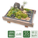 母の日 苔盆栽 ミニ庭園 山荘SS 送料無料