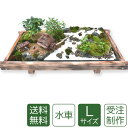 母の日 盆栽 盆景 ミニ庭園 水車L 送料無料