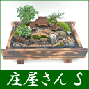 【送料無料】盆栽・盆景 ミニ庭園（庄屋さん（S））【楽ギフ_のし】【2sp_120810_green】癒しの空間をお楽しみください。