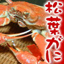 訳あり 松葉がに 松葉ガニ 松葉蟹(3杯)兵庫県津居山産【送...