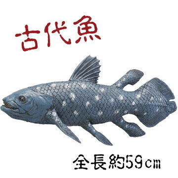  KV[JX 吶W{V[Y ObY 勛  p[eB[ObY  