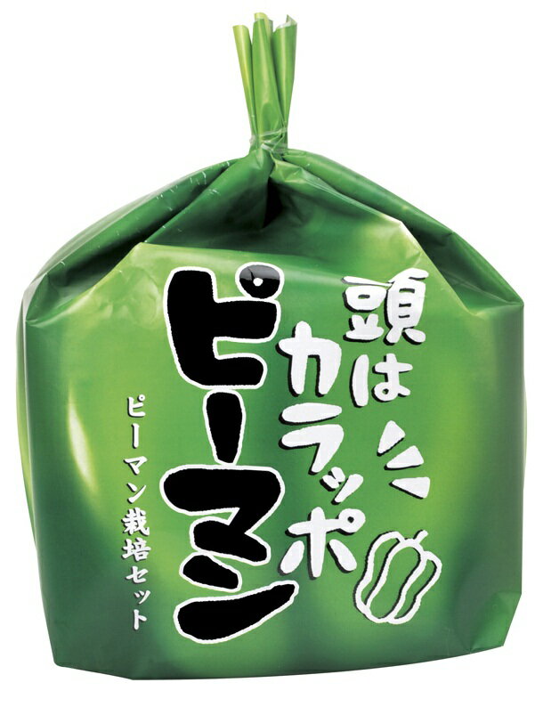 頭はカラッポピーマン ピーマン 野菜栽培キット 野菜栽培キット ピーマン ギフト 景品 プ…...:arune:10028225