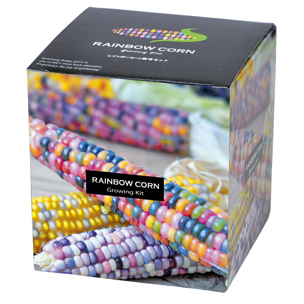 ガーデニング レインボーコーン栽培セット 虹色とう