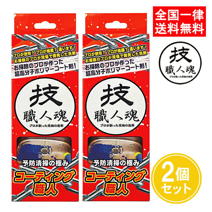 技職人<strong>魂</strong> コーティング職人 200ml 2個セット 防汚 コーティング剤 ガラス系 キッチンシンク トイレ 洗面台 プロ用 業務用 允・セサミ