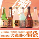 岩手の酒蔵あさ開(あさびらき)「大感謝の福袋2013」300ml×6本コース10P11Jan13、復興支援に東北の酒をプレゼントお土産贈り物に。岩手県産地酒・日本酒を応援。全国新酒鑑評会金賞※只今のご注文分→1/18(金)以降のお届け大人気セットを1年間の感謝を込めた「大感謝の福袋」で！！