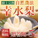 梨 幸水 贈答用 秀品 5kg 特別栽培 お中元 お盆 お供...