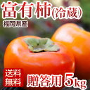富有柿 冷蔵柿 贈答用 赤秀5kg 福岡産 ふゆう柿【送料無料】 ランキングお取り寄せ